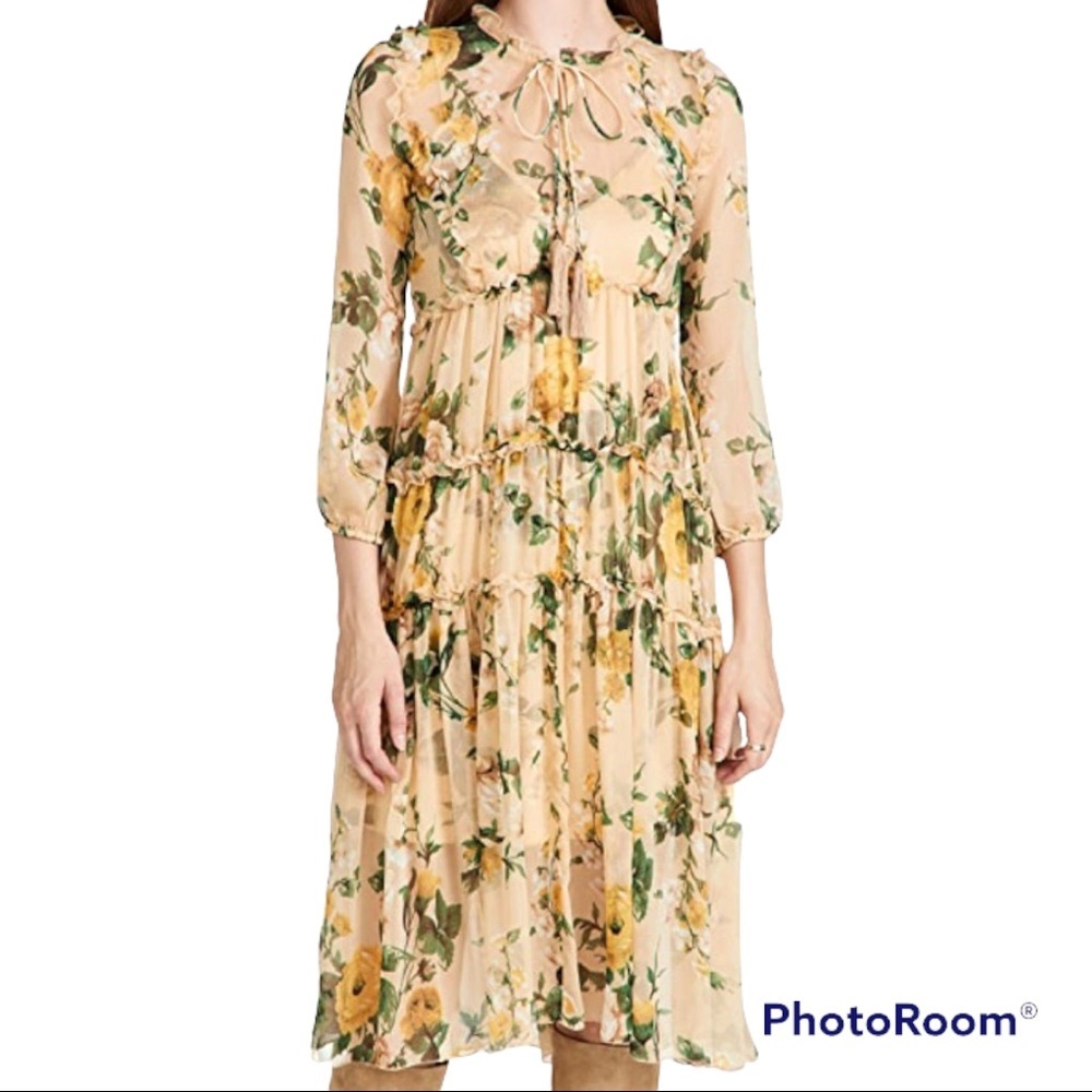 Anthropologie Opt Felicity and floral dress